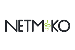 Netmiko